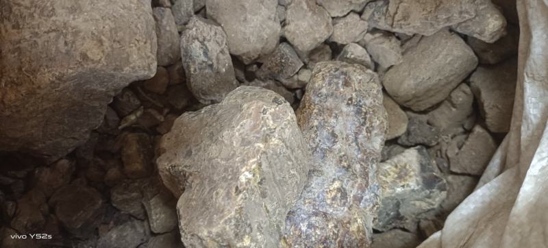 琥珀各种中药材，名贵药材，冷背药材。代加工打粉压片制丸子