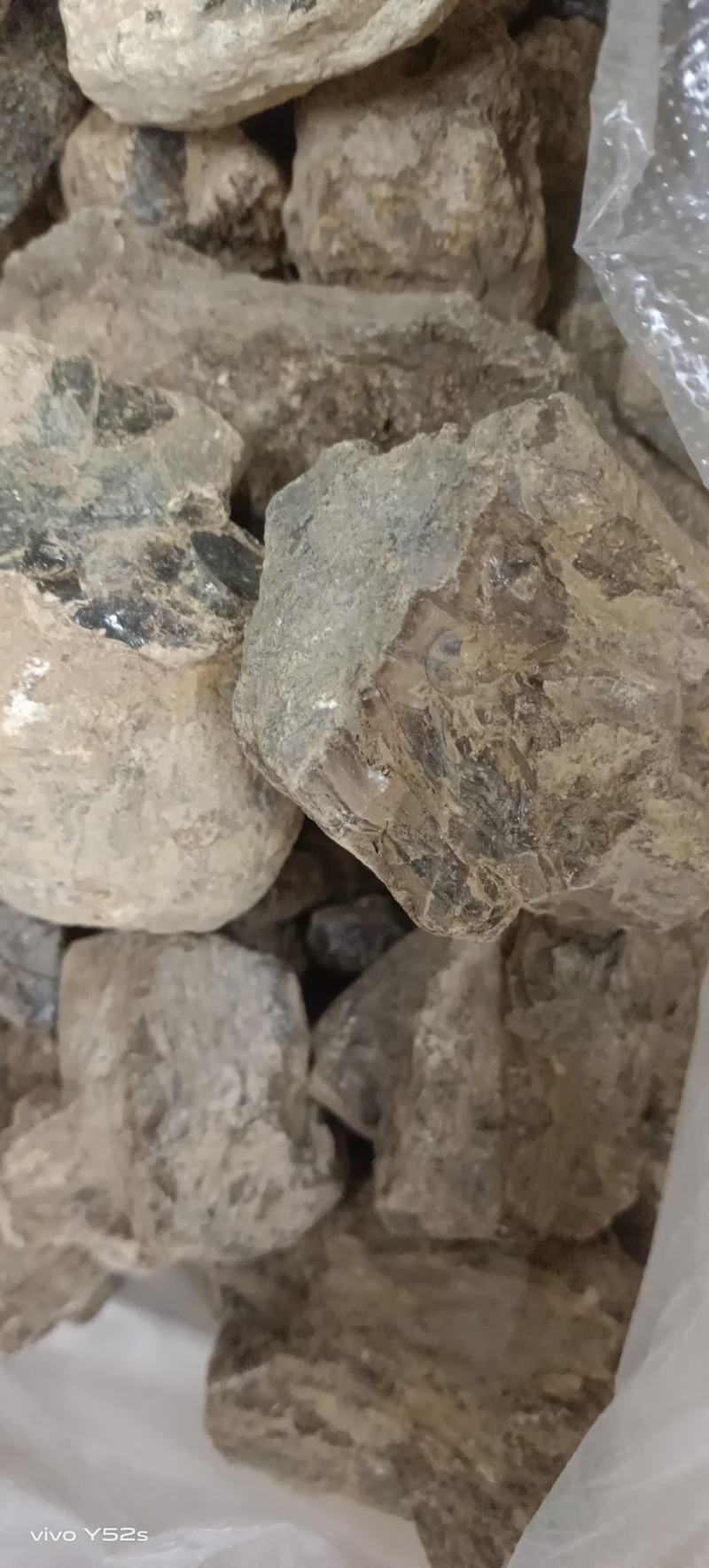 琥珀各种中药材，名贵药材，冷背药材。代加工打粉压片制丸子
