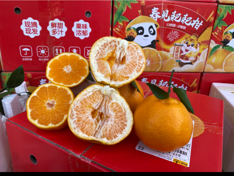 耙耙柑咪甜只挣代办费没任何中间商差价