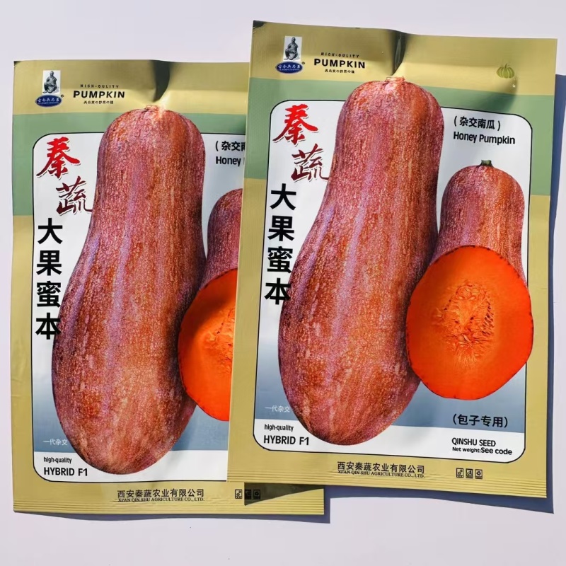 秦蔬大果蜜本南瓜种子大号水份少瓜肉红早熟味甜高产杂交南瓜