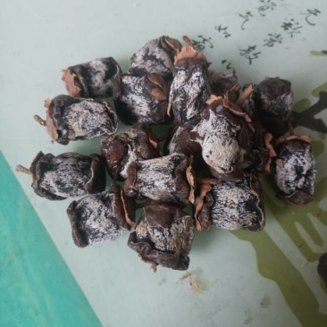 ***0添加手工制品霜降柿饼