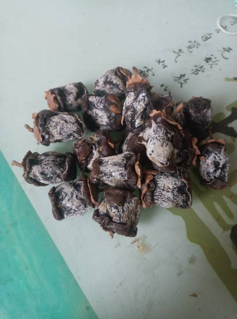 ***0添加手工制品霜降柿饼