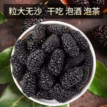 【桑葚】桑葚物美价廉量大从优产地直供