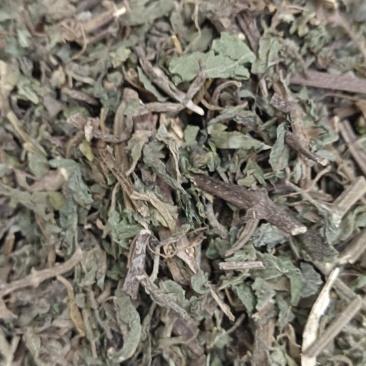旱莲草各种中草药品种多货品齐，