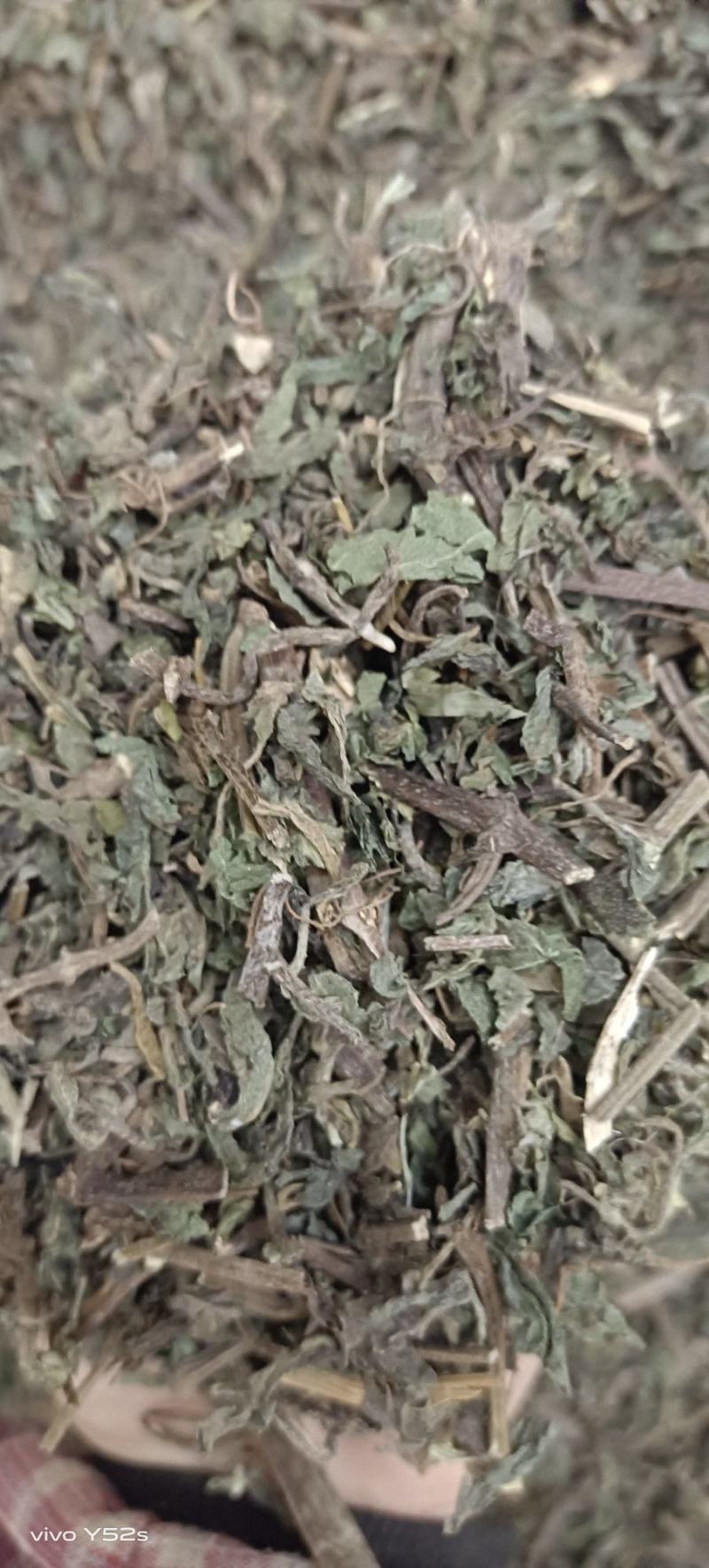 旱莲草各种中草药品种多货品齐，