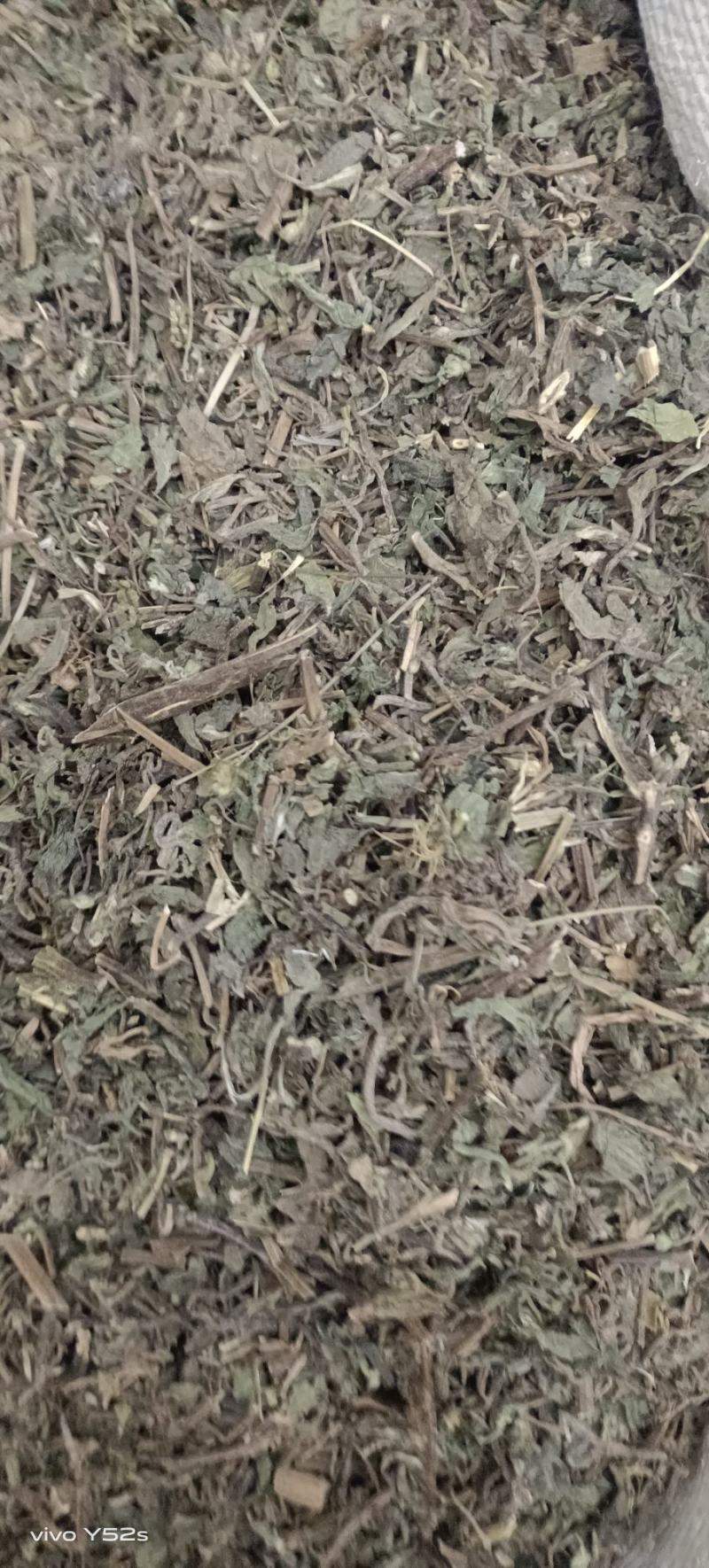 旱莲草各种中草药品种多货品齐，