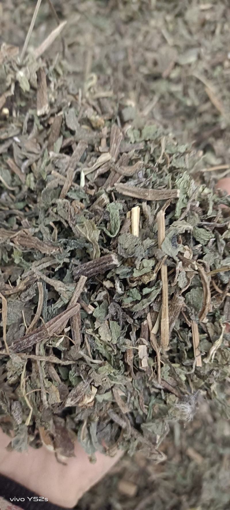 旱莲草各种中草药品种多货品齐，
