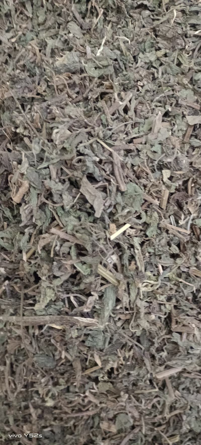 旱莲草各种中草药品种多货品齐，