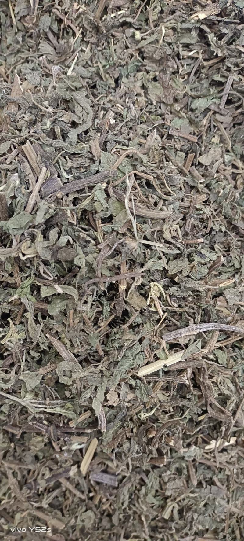 旱莲草各种中草药品种多货品齐，