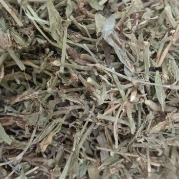 萹蓄
