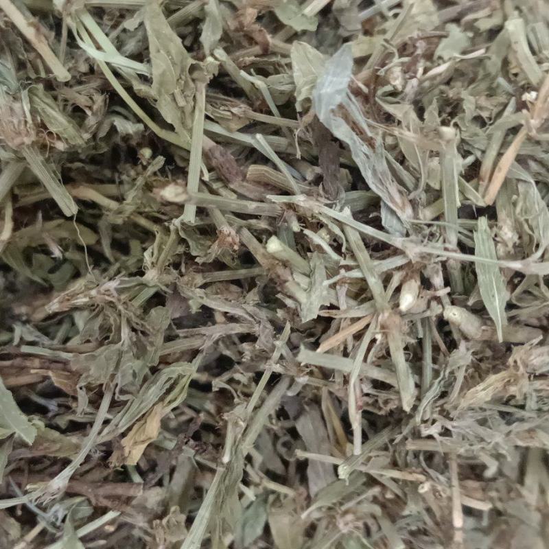 萹蓄