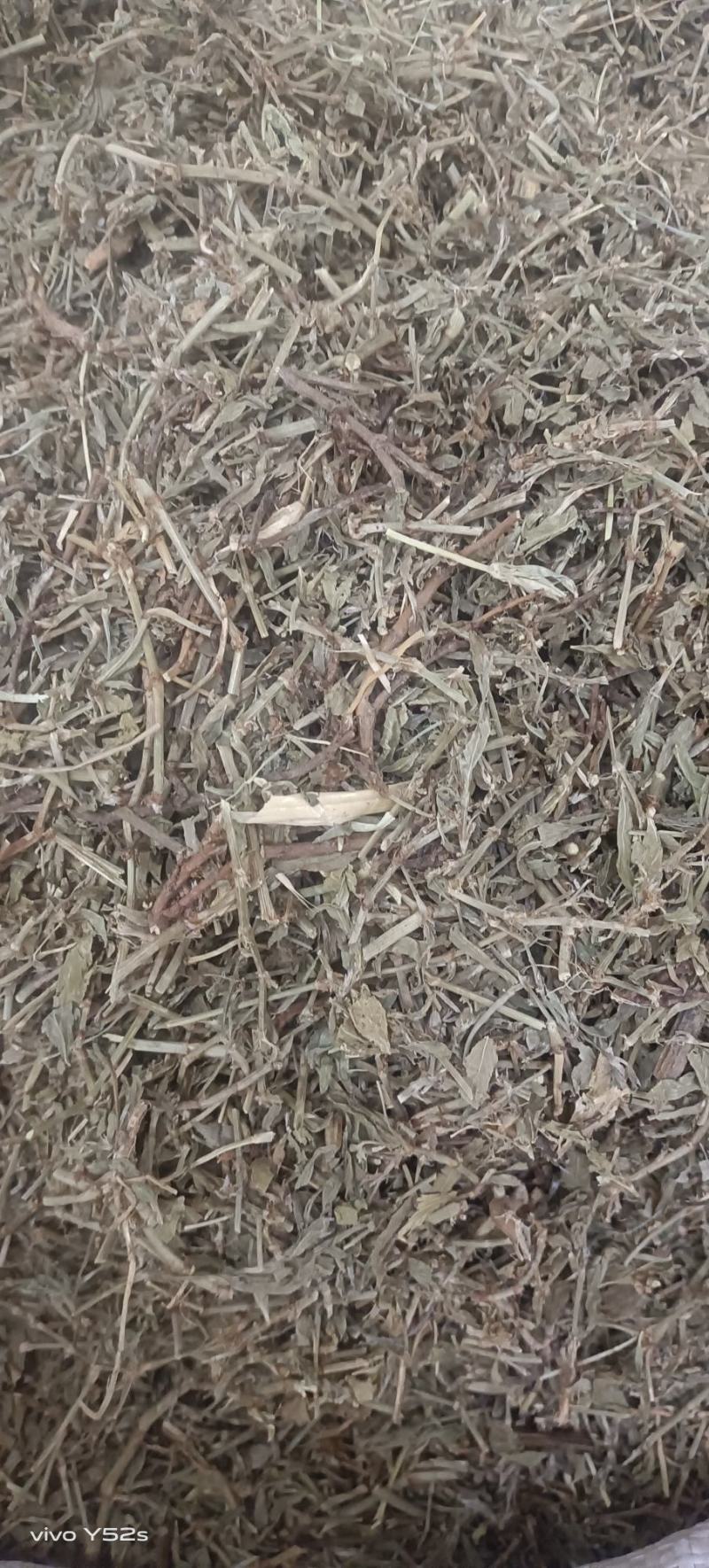 萹蓄