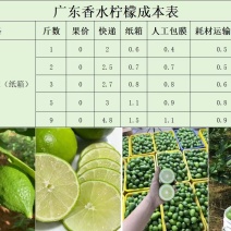 2025年广东香水柠檬/子弹头电商一件代发全网