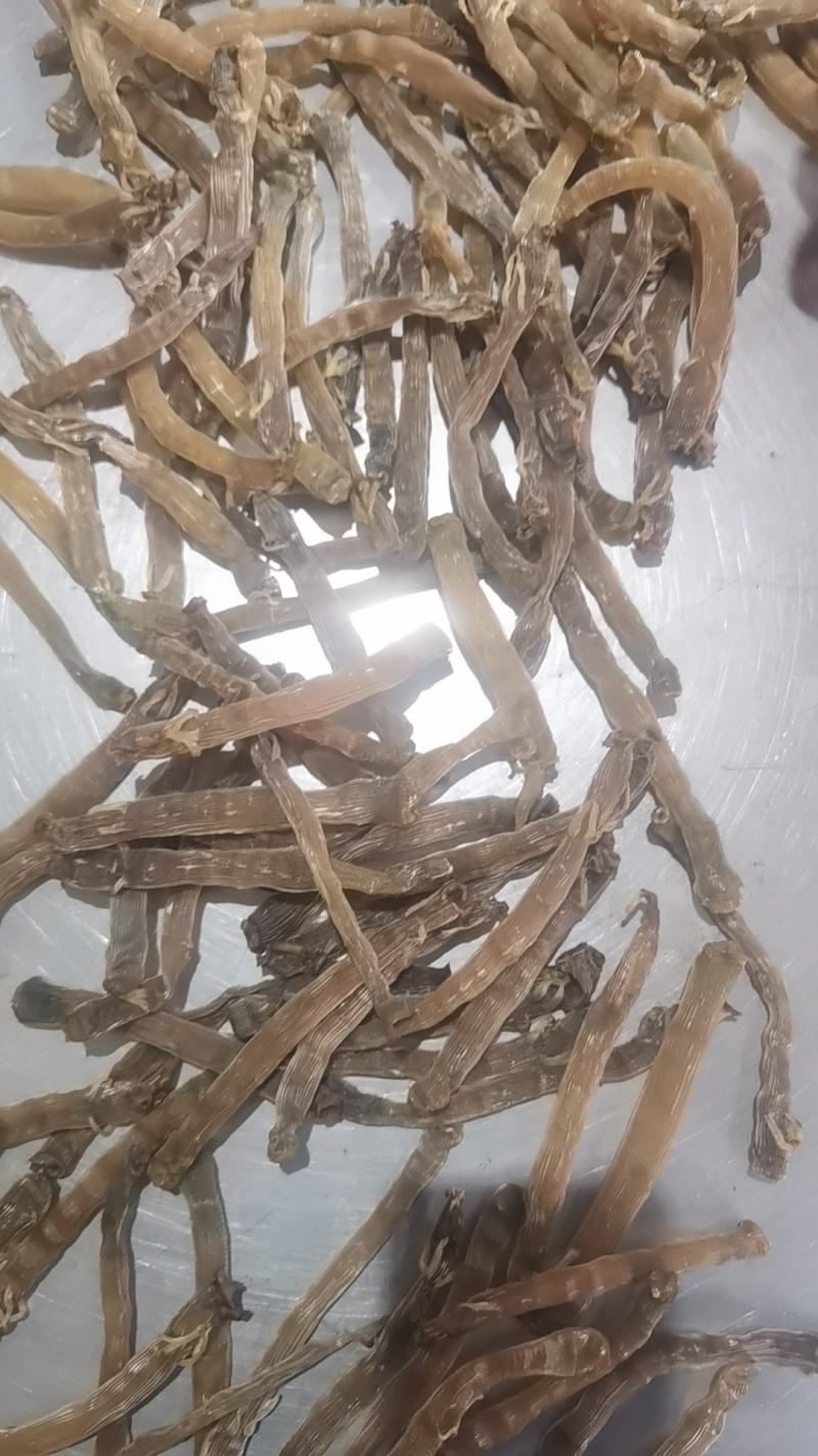 沙虫干，自家渔船捕捞，一手加工没有中间商，有想法的老板联