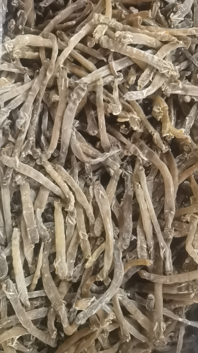 沙虫干，自家渔船捕捞，一手加工没有中间商，有想法的老板联