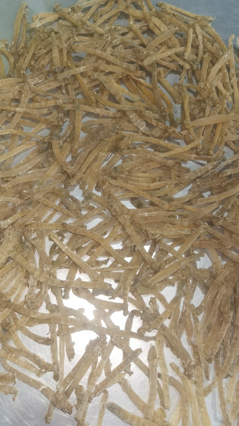 沙虫干，自家渔船捕捞，一手加工没有中间商，有想法的老板联