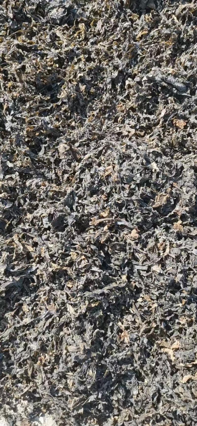 浙江慈溪余姚梅干菜大量供应，一手货源，价格便宜