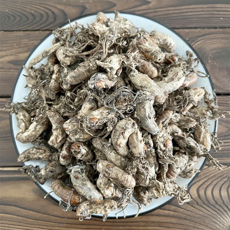 【金蝉花】金蝉花产地直供量大从优物美价廉