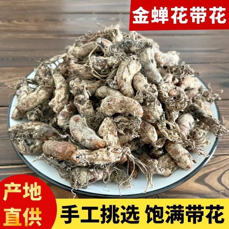 【金蝉花】金蝉花产地直供量大从优物美价廉