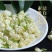 【茉莉花】茉莉花量大从优物美价廉产地直供