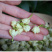 【茉莉花】茉莉花量大从优物美价廉产地直供