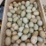 鸭蛋,自家桃园里散养鸭子绿壳鸭蛋量大从优。