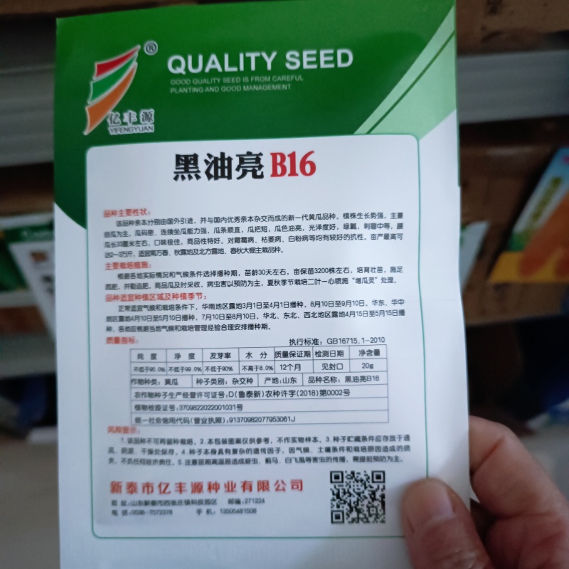 黑油亮B16黄瓜种子油亮青瓜绿瓤抗病高产新一代黄瓜种子