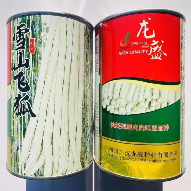 龙盛雪山飞狐豇豆种子白豆角种籽白条高产三尺白玉春夏秋长豇