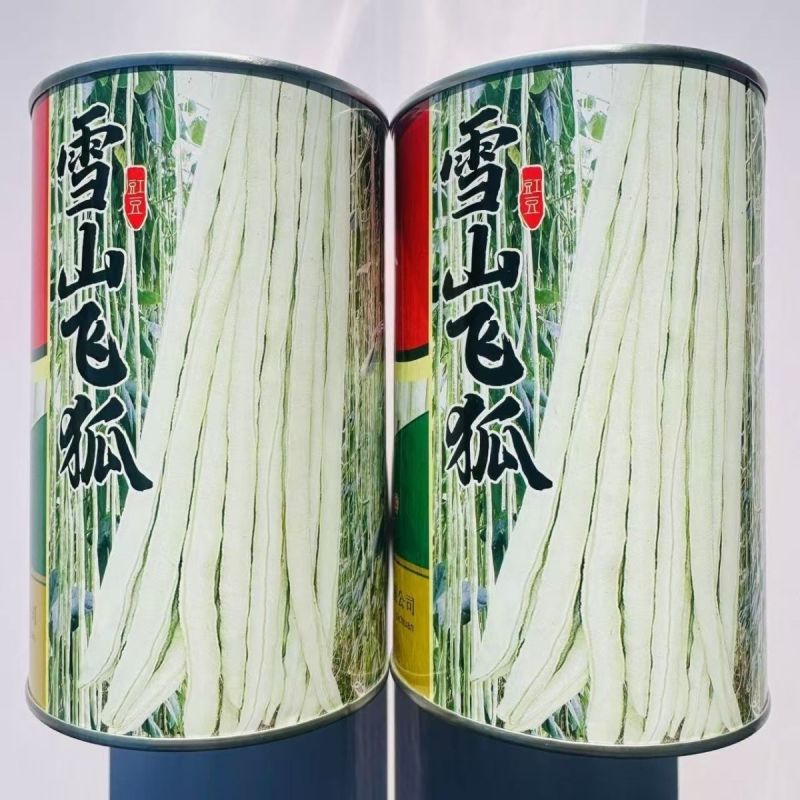 龙盛雪山飞狐豇豆种子白豆角种籽白条高产三尺白玉春夏秋长豇