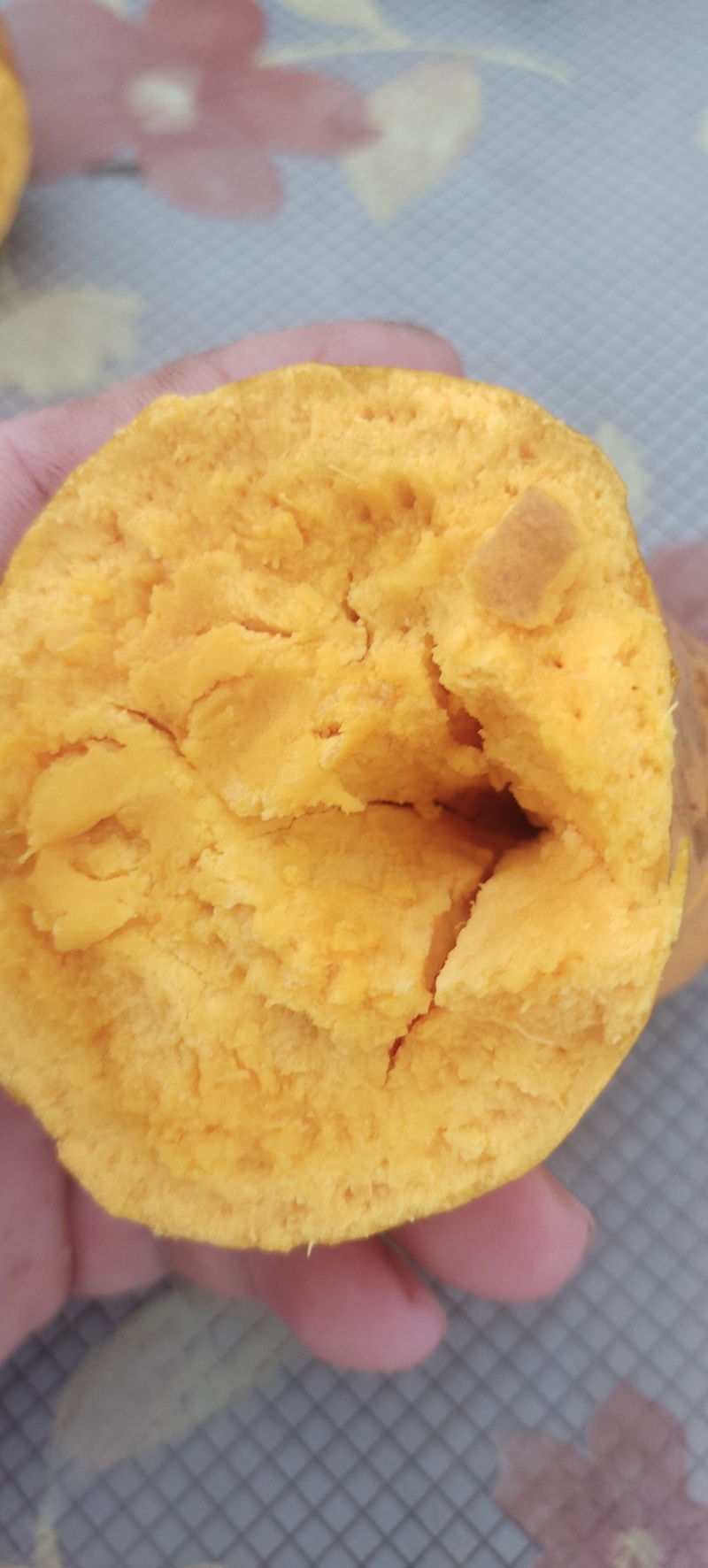 耀堂仙桃鸡蛋果苗