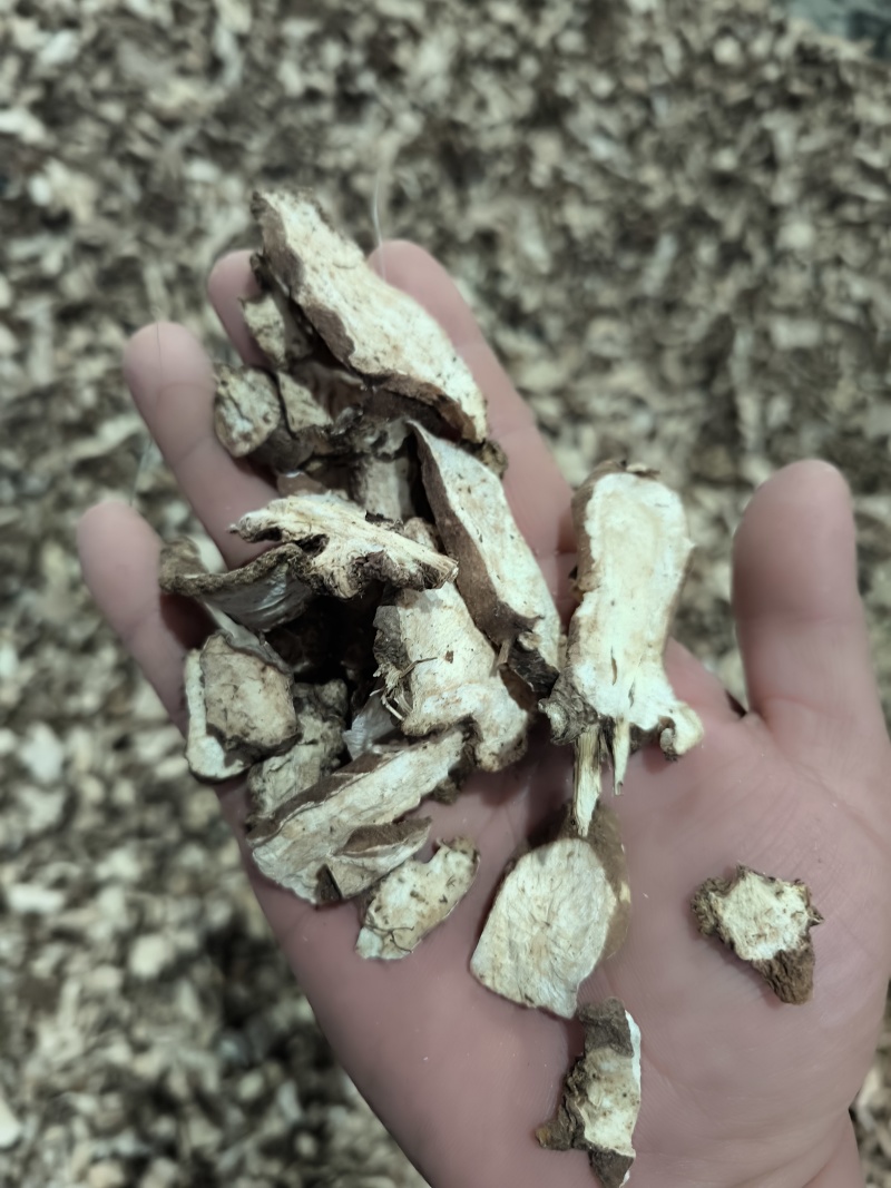 白术，生切片，烘干。过8号筛。新货