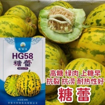 糖蕾甜瓜种子花皮绿肉高糖甜瓜种特甜上糖早露地专用抗裂香瓜