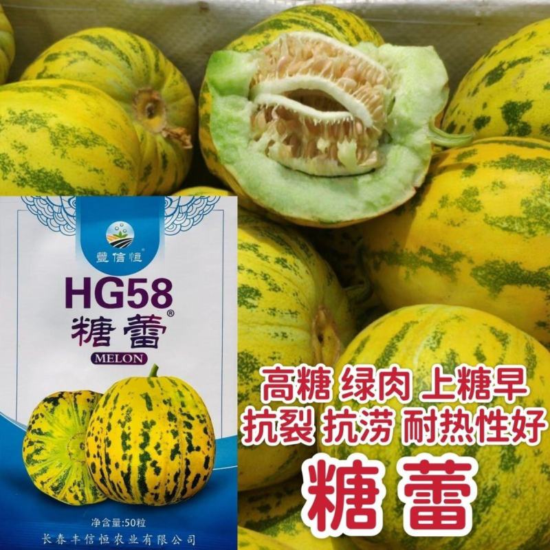 糖蕾甜瓜种子花皮绿肉高糖甜瓜种特甜上糖早露地专用抗裂香瓜