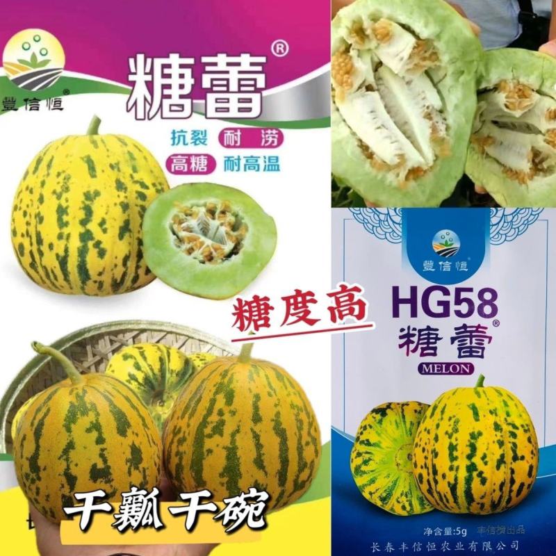 糖蕾甜瓜种子花皮绿肉高糖甜瓜种特甜上糖早露地专用抗裂香瓜