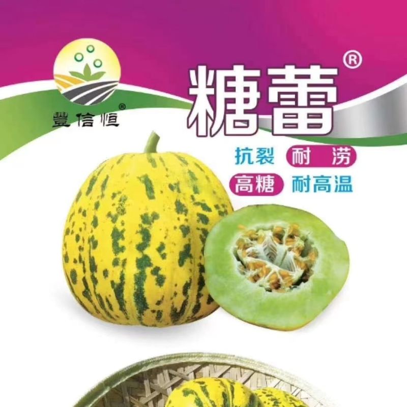糖蕾甜瓜种子花皮绿肉高糖甜瓜种特甜上糖早露地专用抗裂香瓜