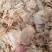 木蝴蝶新货木蝴蝶大量批发零售进口木蝴蝶量大从优假一赔十