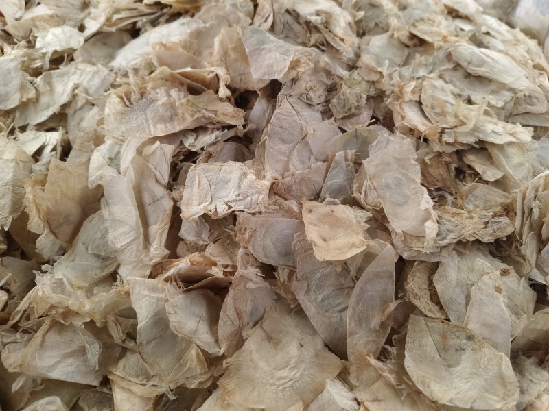 木蝴蝶新货木蝴蝶大量批发零售进口木蝴蝶量大从优假一赔十