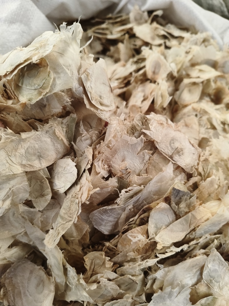 木蝴蝶新货木蝴蝶大量批发零售进口木蝴蝶量大从优假一赔十