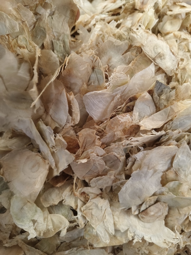 木蝴蝶新货木蝴蝶大量批发零售进口木蝴蝶量大从优假一赔十