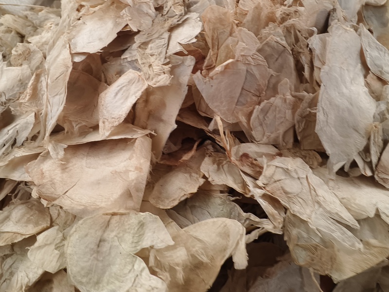 木蝴蝶新货木蝴蝶大量批发零售进口木蝴蝶量大从优假一赔十