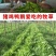 菊苣种籽养殖大叶多年生四季牧草种子羊牛兔鸡鸭鹅猪草种孑鱼