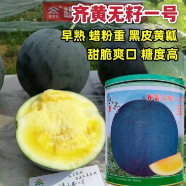 黄心齐黄无籽一号西瓜种子黄瓤种子黑皮无籽西瓜种籽高产早熟