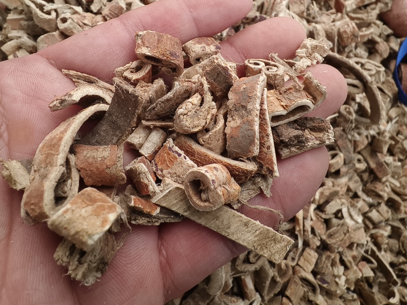 桑白皮新货桑白皮散装去皮正品保障干净无杂假一赔十