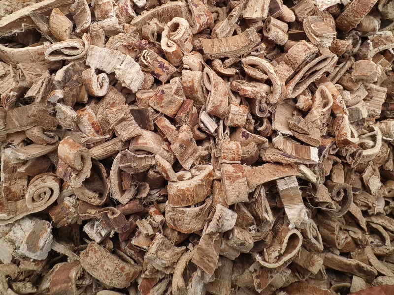 桑白皮新货桑白皮散装去皮正品保障干净无杂假一赔十