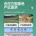 【热卖】2025甘肃岷县当归精品产地直发干货无