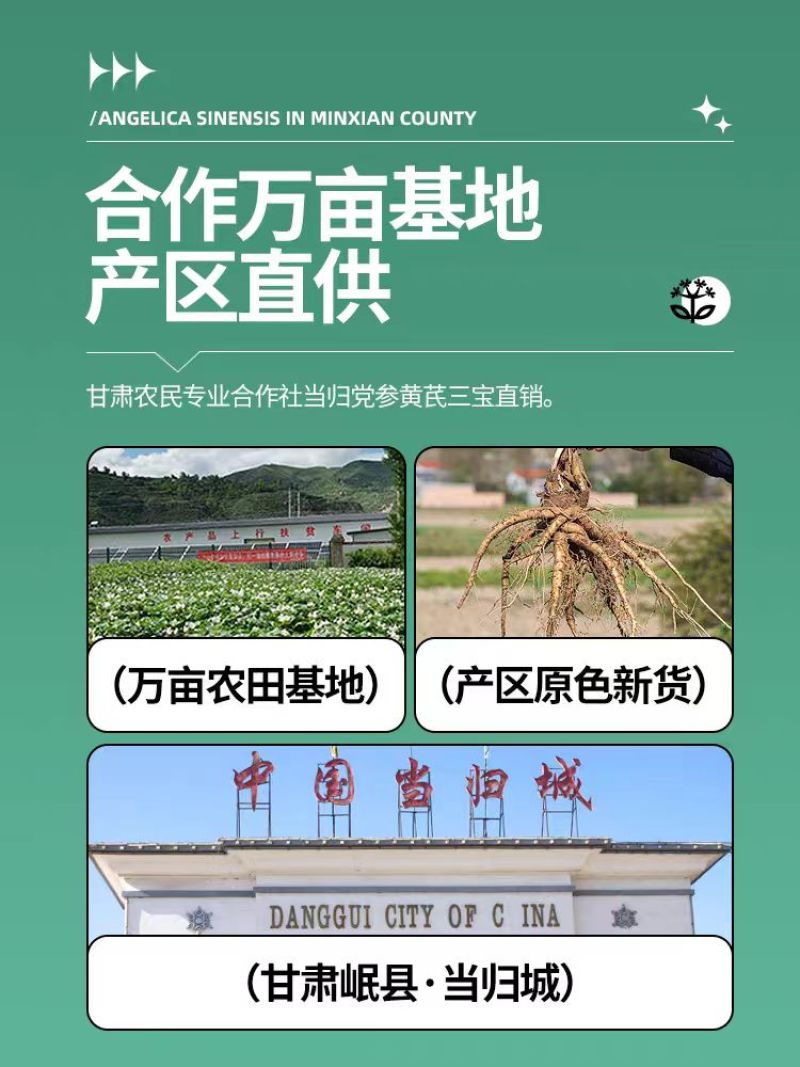【热卖】2025甘肃岷县当归精品产地直发干货无