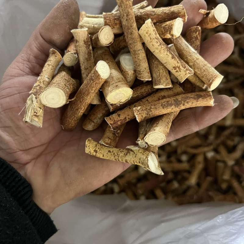 五指毛桃，深山里的毛桃