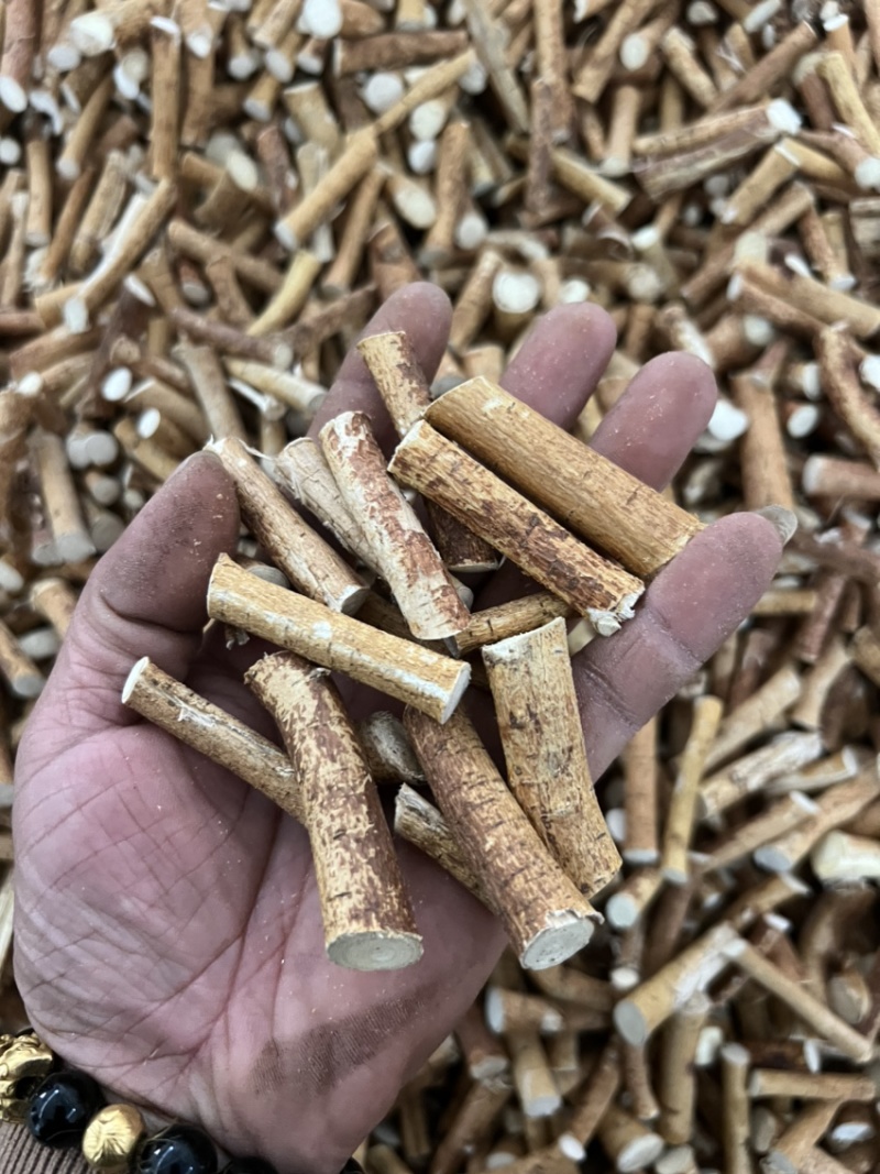五指毛桃，深山里的毛桃
