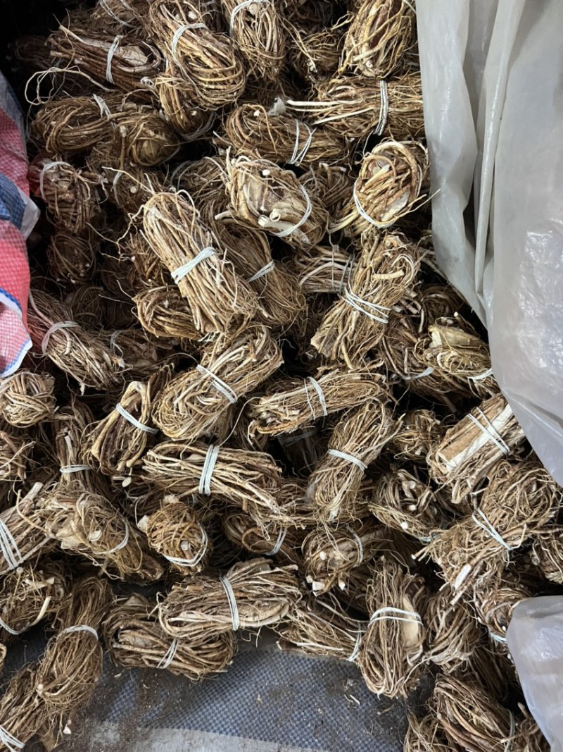 五指毛桃，深山里的毛桃