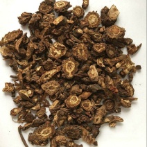羌活中药材蚕羌川羌竹节羌